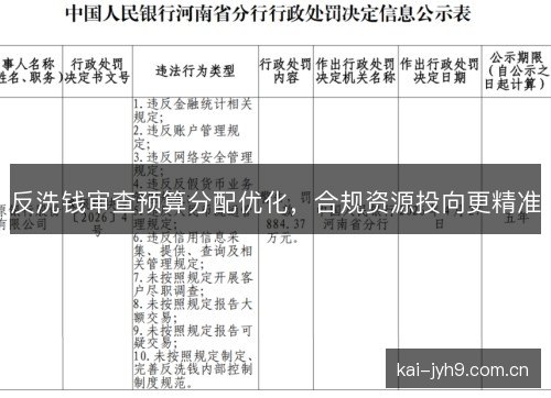 反洗钱审查预算分配优化，合规资源投向更精准